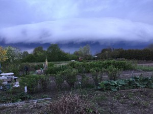IMG_0193